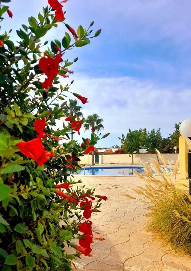 Apartamento Con Piscina En Ciudadela, Cala En Blanes Apartamento Cala'N Blanes  Exterior foto